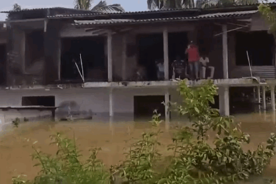 Imagem do corpo da matéria